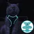 Zoomtopia Laisse avec harnais pour chat