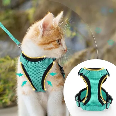 Zoomtopia Harnais pour chat Vert émeraude