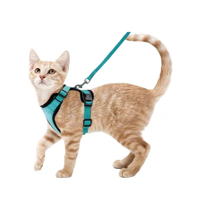 Zoomtopia Harnais pour chat Vert émeraude Zoomtopia Harnais pour chat Vert émeraude