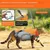 Zoomtopia Transporteur de hombro 2 en 1 pour chats et chiens