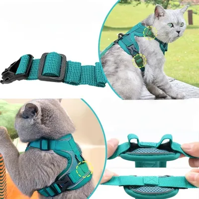 Zoomtopia Laisse avec harnais pour chat