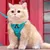 Zoomtopia Laisse avec harnais pour chat