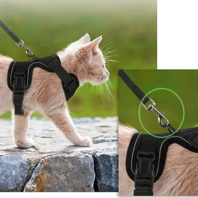 Zoomtopia Harnais pour chat Zoomtopia Harnais pour chat