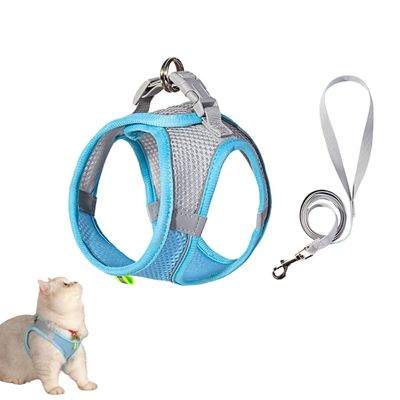 Zoomtopia Harnais et laisse pour chat