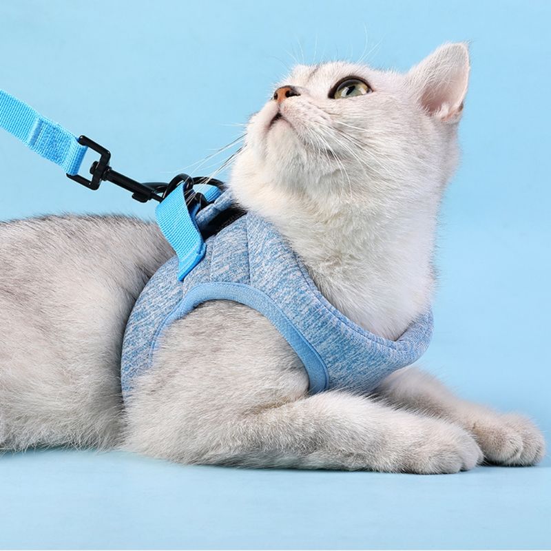 Zoomtopia Harnais pour chat avec laisse