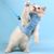 Zoomtopia Harnais pour chat avec laisse