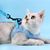Zoomtopia Harnais pour chat avec laisse