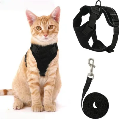 Zoomtopia Harnais pour chat Zoomtopia Harnais pour chat