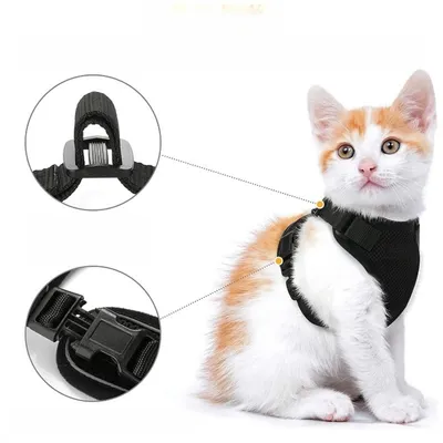Zoomtopia Harnais pour chat Zoomtopia Harnais pour chat