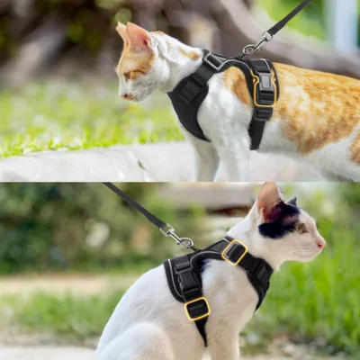 Zoomtopia Harnais pour chat Zoomtopia Harnais pour chat