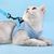 Zoomtopia Harnais pour chat avec laisse