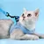 Zoomtopia Harnais pour chat avec laisse Zoomtopia Harnais pour chat avec laisse