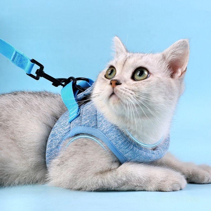 Zoomtopia Harnais pour chat avec laisse