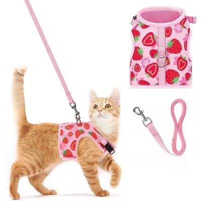 Zoomtopia Harnais pour chat et petit chien