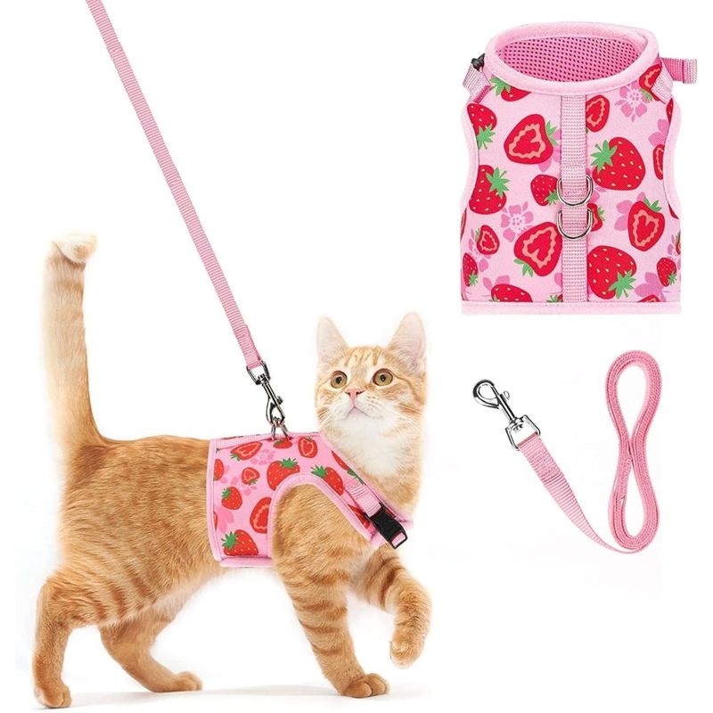 Zoomtopia Harnais pour chat et petit chien