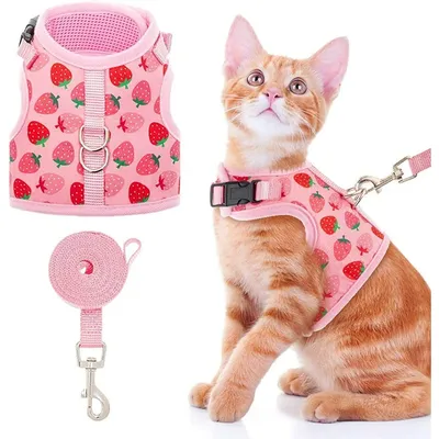 Zoomtopia Harnais pour chat et petit chien Zoomtopia Harnais pour chat et petit chien