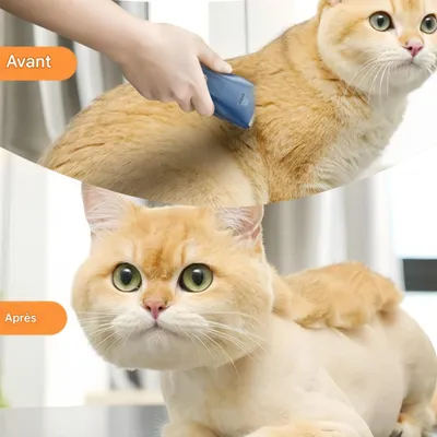 FurryFusion Tondeuse à poils d'animaux