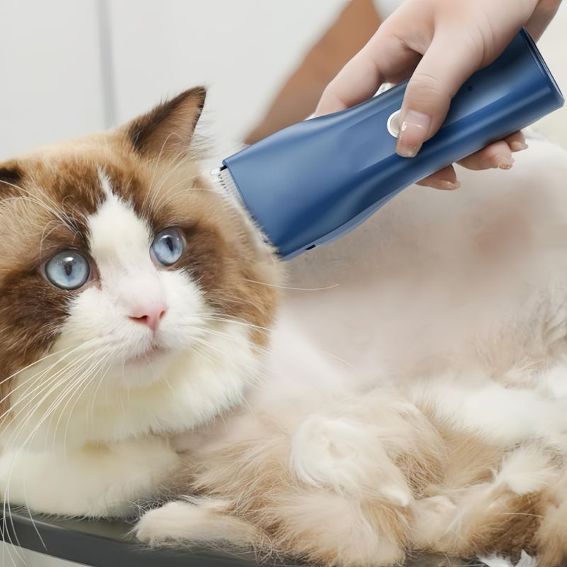 FurryFusion Tondeuse à poils d'animaux