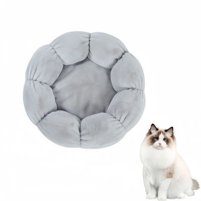 Pawzy Lit pour Chat en Forme de pétale