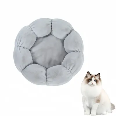 Pawzy Lit pour Chat en Forme de pétale Pawzy Lit pour Chat en Forme de pétale