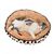 FurryFusion Lit pour chat