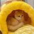 Zoomtopia Lit pour chat