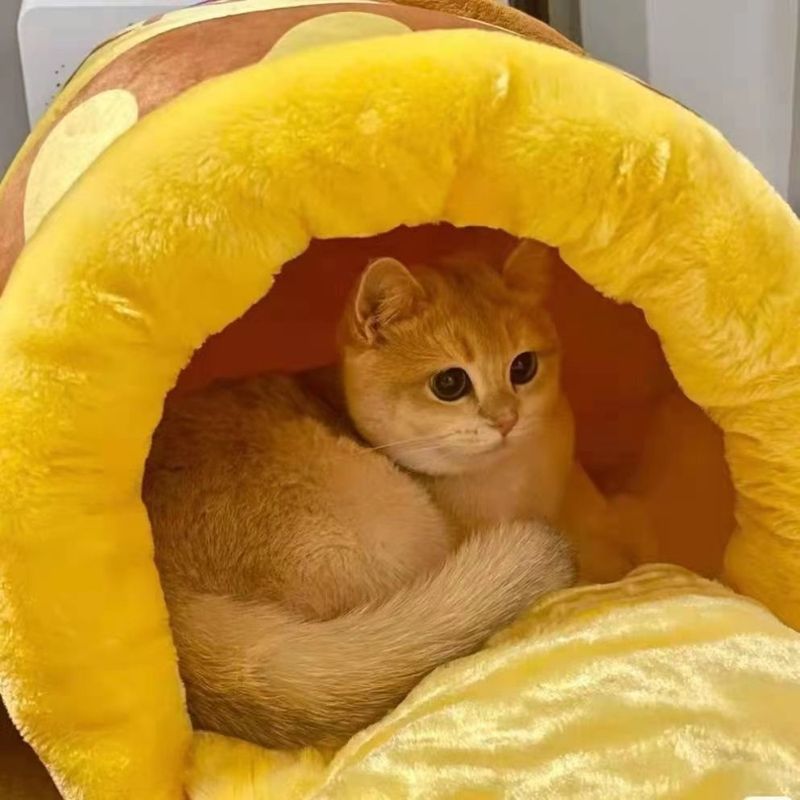 Zoomtopia Lit pour chat