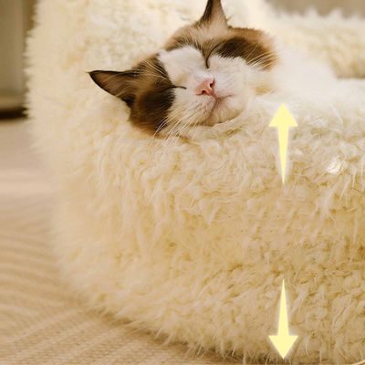 Canapé-lit chaud pour chat