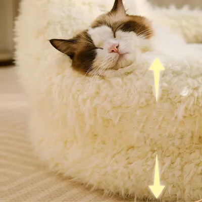 UAMLY Sofá cama cálido con forma de gato