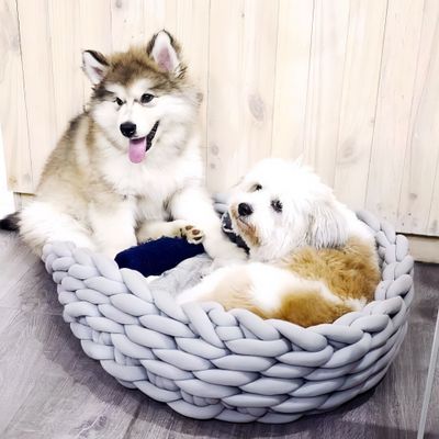 FurryFusion Maisons tissées pour chats et chiens