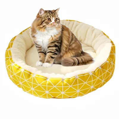 FurryFusion Nid de chat en hiver