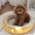 FurryFusion Nid de chat en hiver