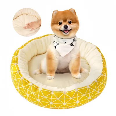 FurryFusion Nid de chat en hiver