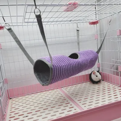 Zoomtopia Tunnel de suspension pour petits animaux