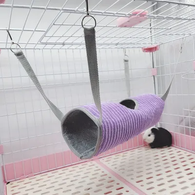 Zoomtopia Tunnel de suspension pour petits animaux