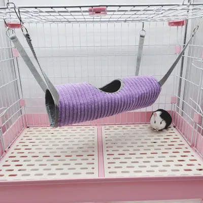 Zoomtopia Tunnel de suspension pour petits animaux