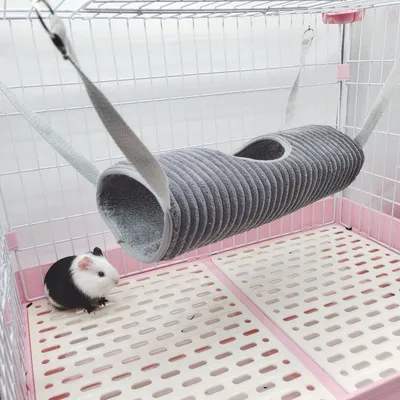 Zoomtopia Tunnel de suspension pour petits animaux