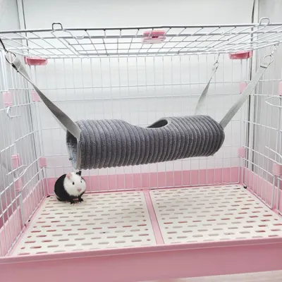 Zoomtopia Tunnel de suspension pour petits animaux