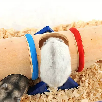 Zoomtopia Tube tunnel en bois pour petits animaux de compagnie
