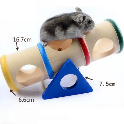 Zoomtopia Tube tunnel en bois pour petits animaux de compagnie