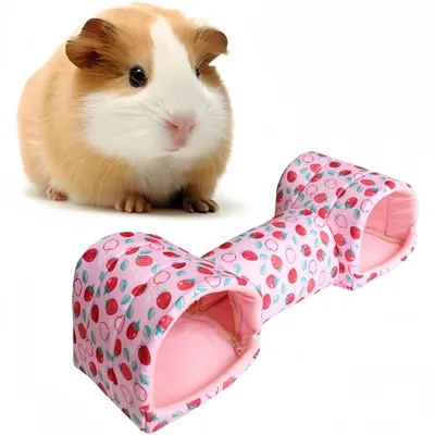 Zoomtopia Tunnel jouet pour cochon d'Inde Zoomtopia Tunnel jouet pour cochon d'Inde