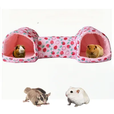 Zoomtopia Tunnel jouet pour cochon d'Inde