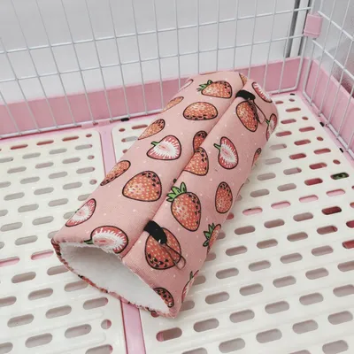 Zoomtopia Tunnels de rongeurs