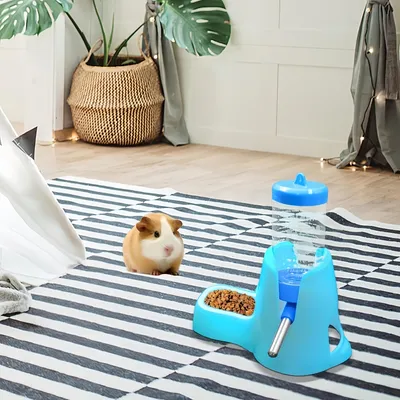 Zoomtopia Mangeoire automatique pour petits animaux