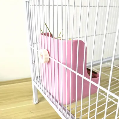 Pawzy Mangeoire à foin  pour petits animaux