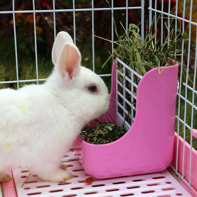 Pawzy Mangeoire à foin  pour petits animaux