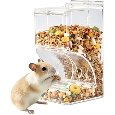 Zoomtopia Mangeoire pour cochon d'Inde