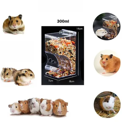 Zoomtopia Mangeoire pour cochon d'Inde