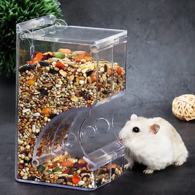 Zoomtopia Mangeoire pour cochon d'Inde