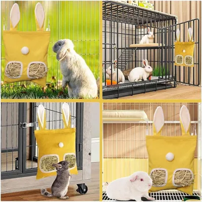 Pawzy Mangeoire à foin pour lapin